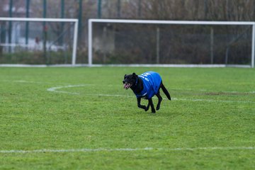 Bild 8 - C-Juniorinnen FSG BraWie 08 o.W. - SV Boostedt o.W. : Ergebnis: 9:0